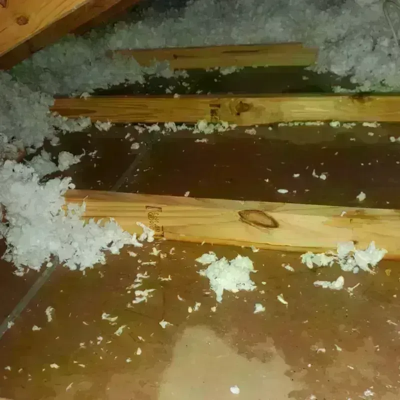 Attic Water Damage in San Clemente, CA